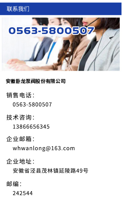 安徽臥龍泵閥-發(fā)展歷程